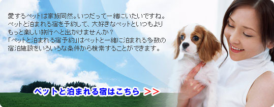 �ڥåȤȰ�����ޤ��ɡʥۥƥ�ˤϤ����餫��